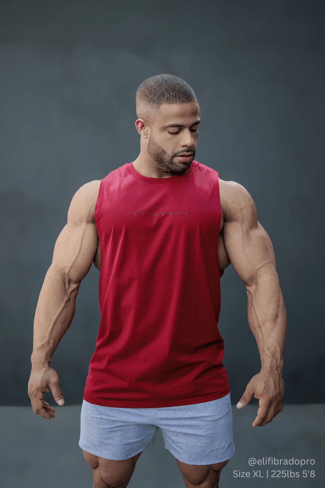 Apollo Men's Sleeveless Training Tee - Crimson Red